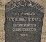 MDAKANE Maria -1952