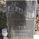 JACOBS Pieter 1954-1976