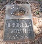 VERSTER Hercules A. 1905-