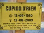 O'RIEN Cupido 1930-2009
