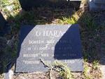 O'HARA Doreen May 1907-1985