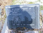 WILLEMSE Leah Serena 1921-1997