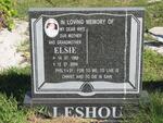 LESHOU Elsie 1960-2004