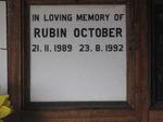 OCTOBER Rubin 1989-1992