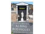 FIANDEIRO Albino Rodrigues 1944-1986