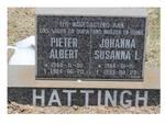 HATTINGH Pieter Albert 1940-1984 & Johanna Susanna L. 1944-1993