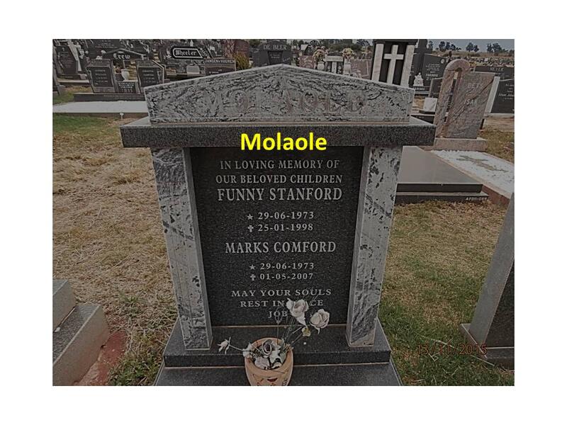 MOLAOLE Funny Stanford 1973-1998 :: MOLAOLE Marks Comford  1973-2007