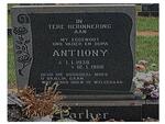 PARKER Anthony 1938-1986