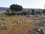 Western Cape, OUDTSHOORN district, Wynands Rivier 147_2, farm cemetery