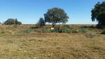 North West, LICHTENBURG district, Rooigrond, Grootfontein 115, farm cemetery