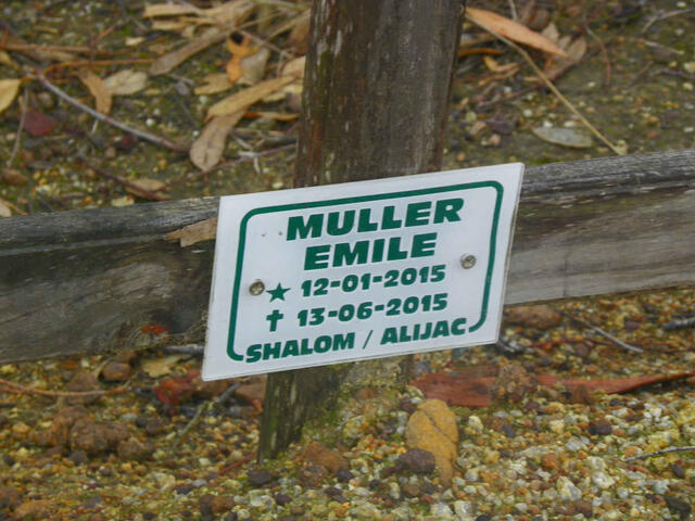 MULLER Emile 2015-2015