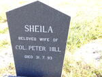 HILL Peter Leonard Arthur 1904-1995 & Sheila -1993 :: HILL David A.A. 1943-1998