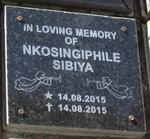 SIBIYA Nkosingiphile 2015-2015