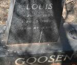 GOOSEN Louis 1985-1985