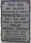 BADENHORST Sophia Elisabeth 1931-1932 :: BADENHORST Michiel Andries 1947-1948