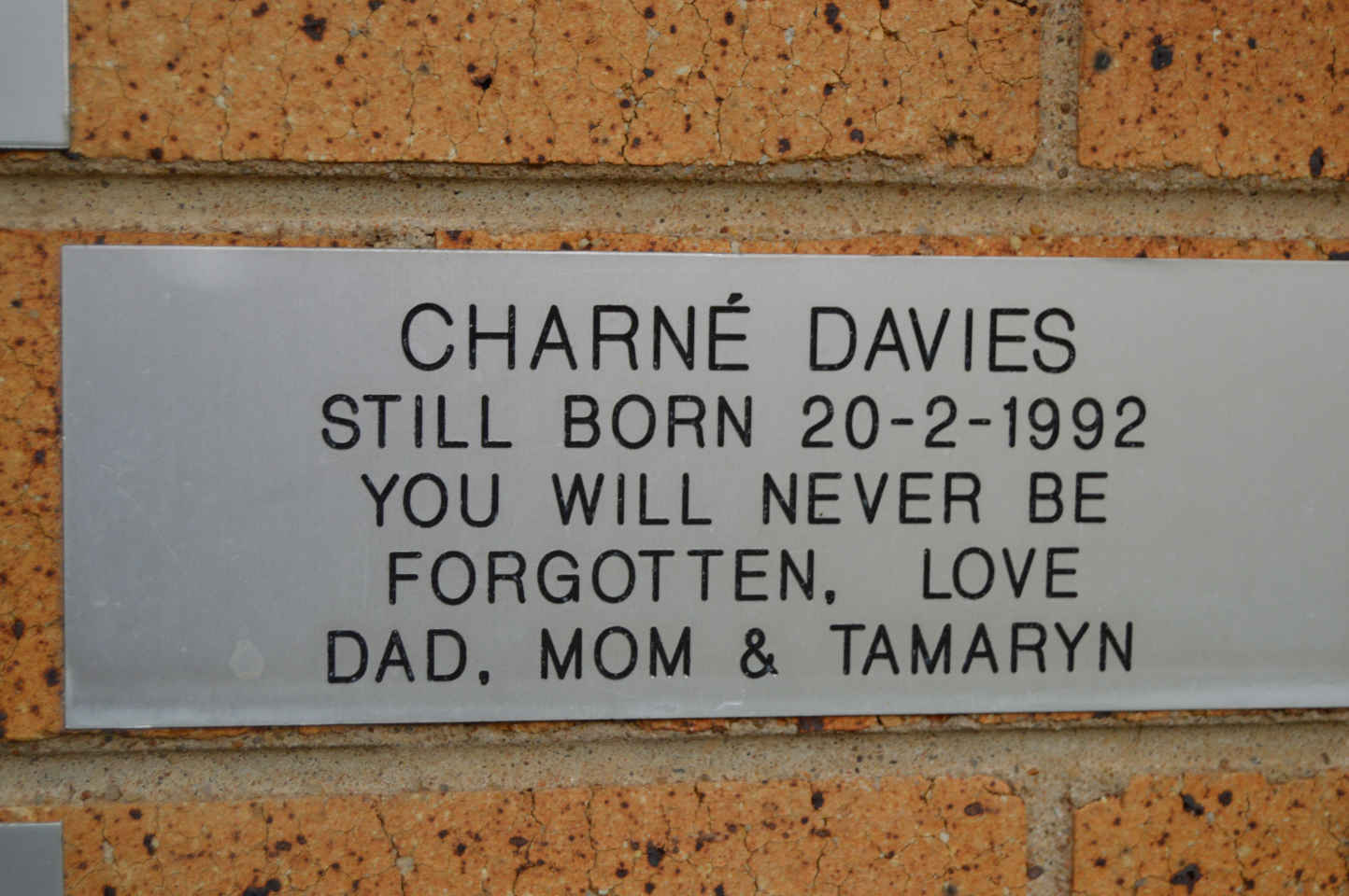 DAVIES Charné 1992-1992