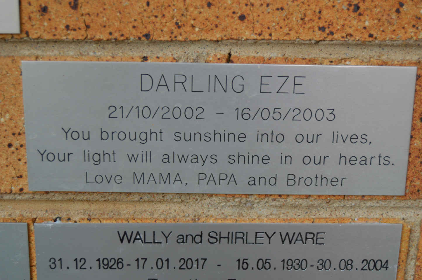 EZE Darling 2002-2003