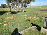 Western Cape, PIKETBERG district, Eendekuil, Blindefontein 70_1, farm cemetery