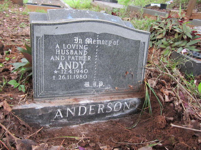 ANDERSON Andy 1940-1980