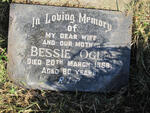 OGLE Bessie -1969