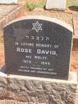 DAVID Rose nee WOLFF 1873-1949
