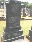 MOSHAL Jacob -1946
