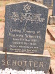 SCHOTTER Malwine 1880-1943