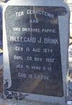BRINK Hillegard J. 1874-1952