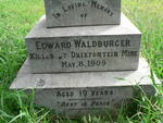 WALDBURGER Edward -1909
