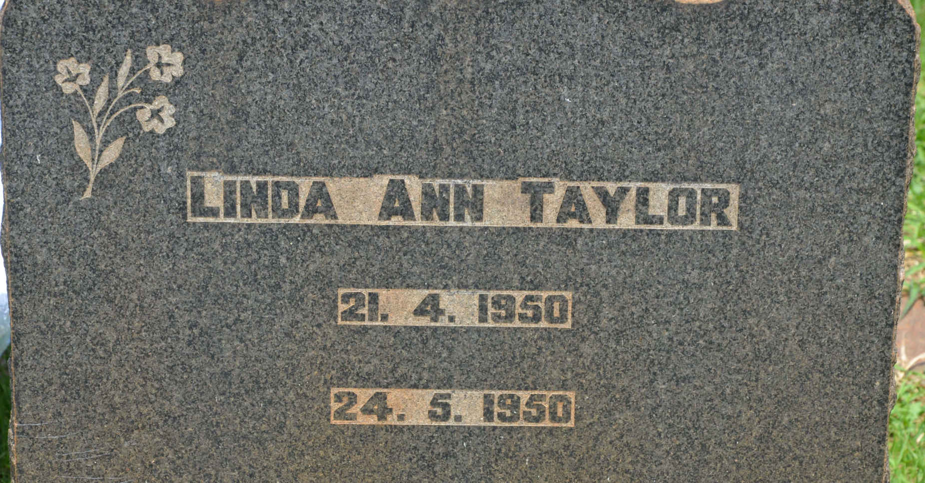 TAYLOR Linda Ann 1950-1950