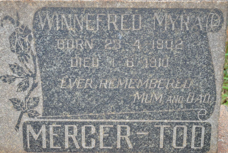 TOD Winnefred Myra, Mercer 1902-1910