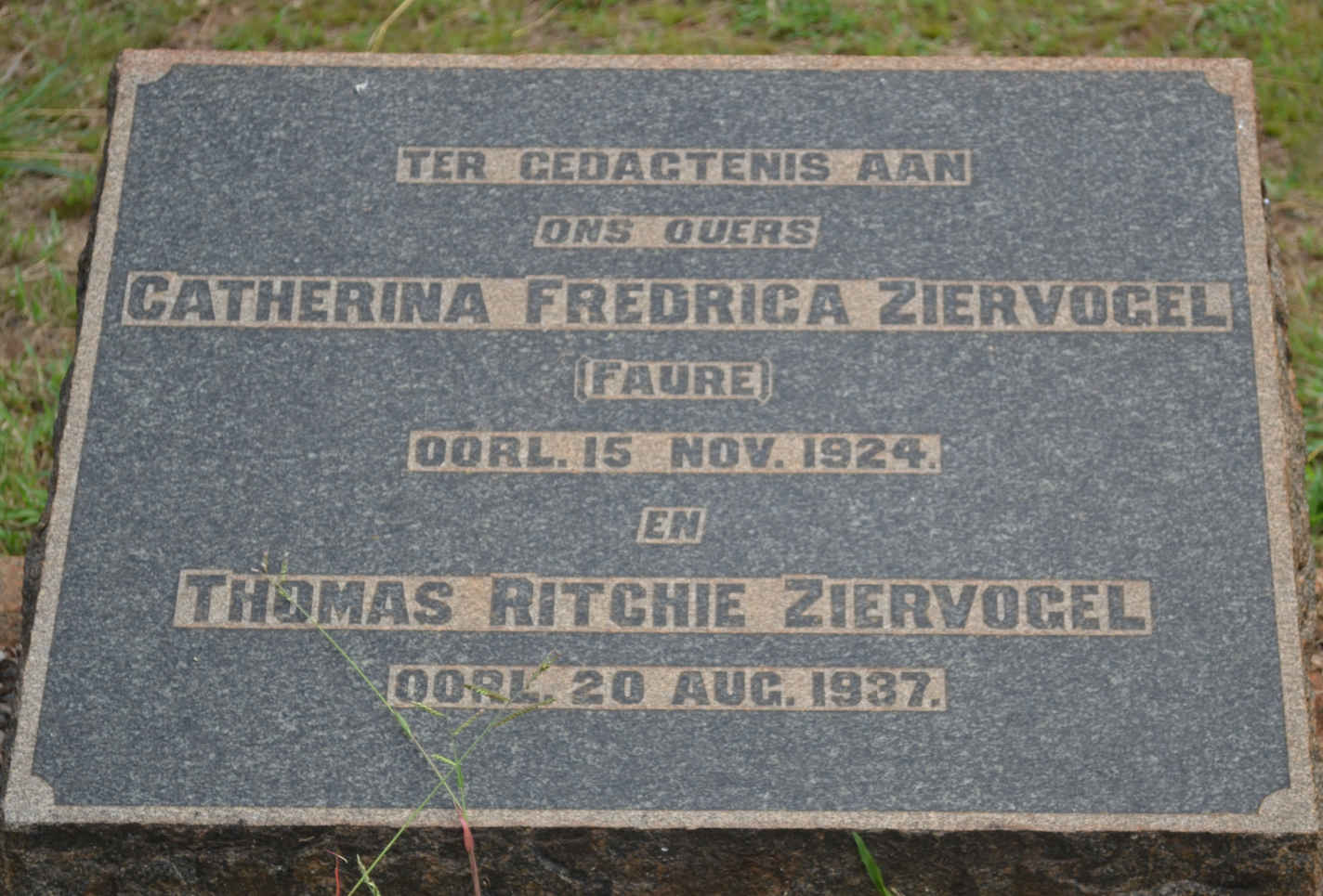 ZIERVOGEL Thomas Ritchie -1937 & Catherina Fredrica FAURE -1924
