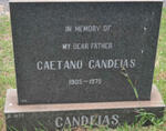 CANDEIAS Caetano 1905-1975