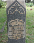 HOSACK William Ross -1924