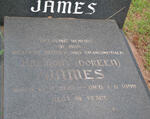 JAMES Harmony 1933-1999