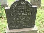 DAVIES Sarah 1882-1964