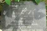 DODDS William Joseph -1918 & Eleanor -1952 :: DODDS William -1916