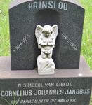 PRINSLOO Cornelius Johannes Jakobus 1955-1956