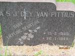PITTIUS A.S.J., Gey van 1949-1949