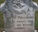 PULLINGER Alfred -1906