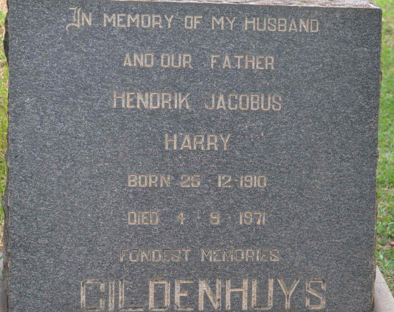 GILDENHUYS Hendrik Jacobus Harry 1910-1971
