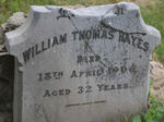 HAYES William Thomas -1906