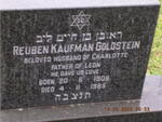 GOLDSTEIN Reuben Kaufman 1908-1985