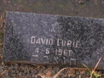 LURIE David -1968