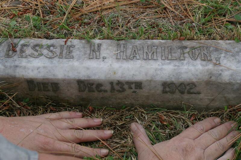 HAMILTON Bessie N. -1902