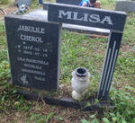 MLISA Jabulile Cherol 1973-2002