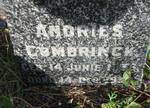 COMBRINCK Andries 1936-1937