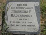 BADENHORST Hendriena P. nee VAN ZYL 1884-1927