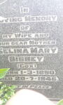 BIBBEY Selina Mary nee COX 1890-1946