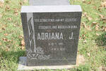 ? Adriana J. 1921-1975